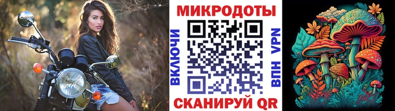 Псилоцибиновые грибы GOLDEN TEACHER  OMG вход  Короча 